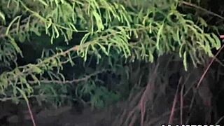 Desi village girl taken to jungle at night for HARD CHODA fuck.