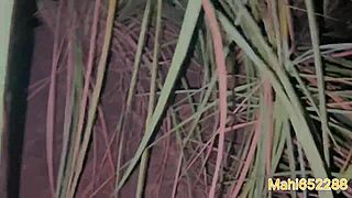 Desi village girl taken to jungle at night for HARD CHODA fuck.