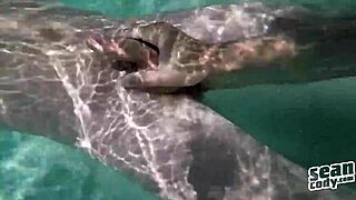 On Puerto Rico Day 3, Sean Cody captures a gay hunk's wild sucking fantasy.