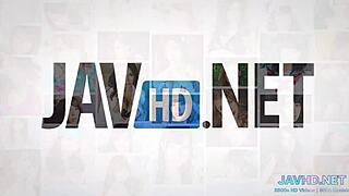 Sladké japonské zadky milujú hardcore análny action v HD