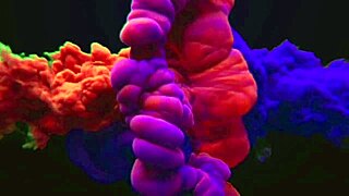 uber of sex gives ass as birthday gift