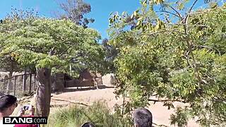 Tiffany Brookes Sucking Dick in Public POV?