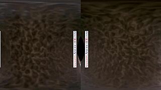 naughty america two chicks same time vr with kenna james and veronica weston