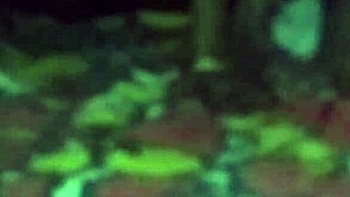 Lifting that sleeping indian bhabhi for a hard fuck