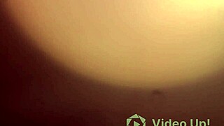 Kitten teases daddy to a big finish