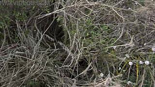 a french cuckold stepmom shows off her hairy pussy while pissing for him to watch