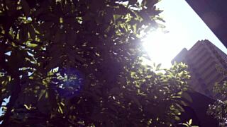 I love sucking Japanese wife Yuko Matsuda