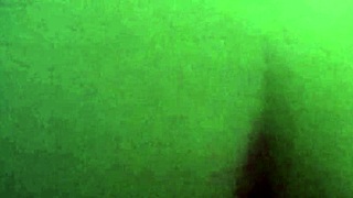 milf doggystyle pov compilation part two