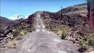 Felicity feline shares webcam dancing moments