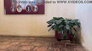 Esto no era un viaje universitario en que momento me desnude