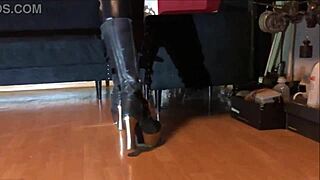 what does sissy training really involve?