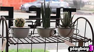 Hailey afton poses passionately in her hot clothes