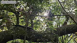 i take advantage of my own humility to help myself