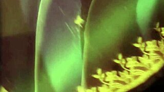 I love this Bollywood brunette beauty's enjoyment experience