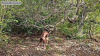 i take advantage of my own humility to help myself