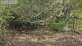 i take advantage of my own humility to help myself