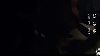 Busty Stepmom Rides Lil D While Dad’s Away Pt2 😜