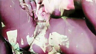 Vintage Taboo Pussy Play with Hairy Outdoor Action