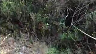 Hey, wanna see stepmom strip panties and suck cock on the beach?