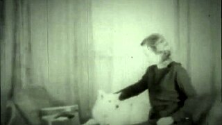 dark lantern entertainment rolls out beauty and the beast in retro style.