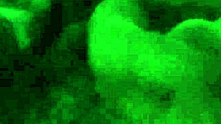 Passionate Spooning Sex in the Car at Park