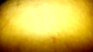 Want to see more home videos with my greedy friend?