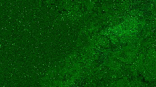 risky airplane toilet masturbation with no panties. almost caught while cumming hard.