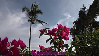 i fucked my friend's girlfriend in her car