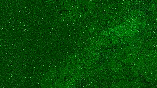 risky airplane toilet masturbation with no panties. almost caught while cumming hard.