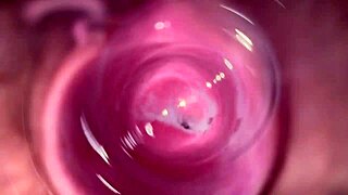 Feel how deep the camera goes inside Mia's creamy tight pussy!