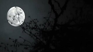 Watch Lana Small 18+ sneak up on her stepbro with big cock?