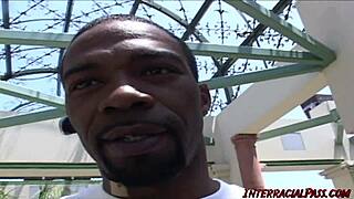 pretty girl ann takes on two black guys for double action