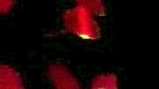 Public flashing at nude beach with squirting and big cock cumshot - misscreamy