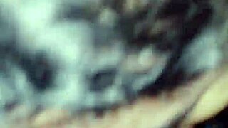 wanessa silva gets blowjob from technician fixing internet