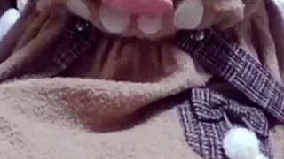 Young couple gets down with doggystyle action in private session