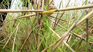 Heyy, check these tied-up hentai babes getting wild! 😈