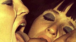 hey, wanna see vintage closeups from my secret erotic life?