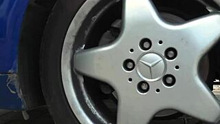 Stella and Odry casually lick pussy in a lesbian encounter with big tits and kissing