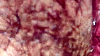 cô giáo dạy vn cặc mau