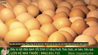 Bi Quyết Chữa Yếu Sinh Lý Của Vua Chúa Ngày Xưa Để Tăng Cường Sinh Lý Nam Giới