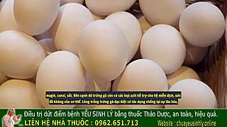 Bi Quyết Chữa Yếu Sinh Lý Của Vua Chúa Ngày Xưa Để Tăng Cường Sinh Lý Nam Giới