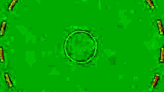 isiah maxwell pounds abella danger's wet pussy, deepthroat and cum in mouth, what a stud!