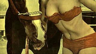 Vintage erotic confessions of a Victorian gentleman's secret life