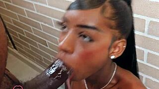 wow, victoria mendoza blows that huge black cock hard!!