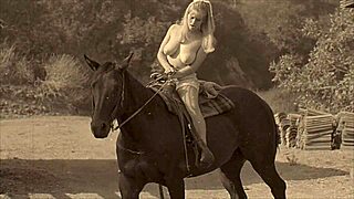 Vintage erotic confessions of a Victorian gentleman's secret life