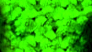 explorando e chegando no fundo da caverna escura - scars of summer - happy route - parte 3 😍