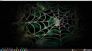 Explore the full arms bless gallery in anime style