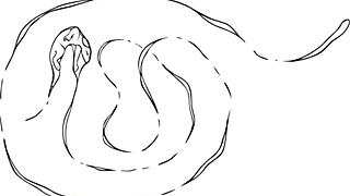 嘿，看这疯狂的同志兽人兽交合集！🐾