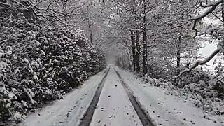 the chick with a large ass received huge anal pounding, teasing for more?