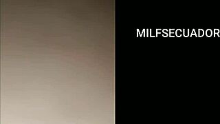 Separation between the filly Aleja and Zamira